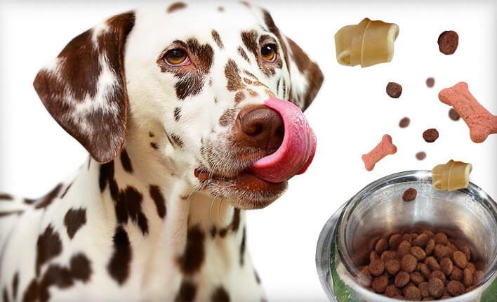 Anti Zecken Snack für Hunde
