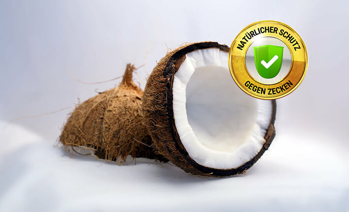 Kokosöl Gegen Zecken II Natürlicher Zeckenschutz für Hunde 2020
